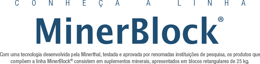 conheça a Minerblock